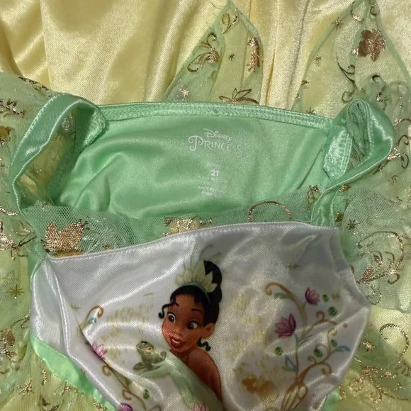 Disney Princess Tiana Green and Yellow Costume - Picture 3 of 4